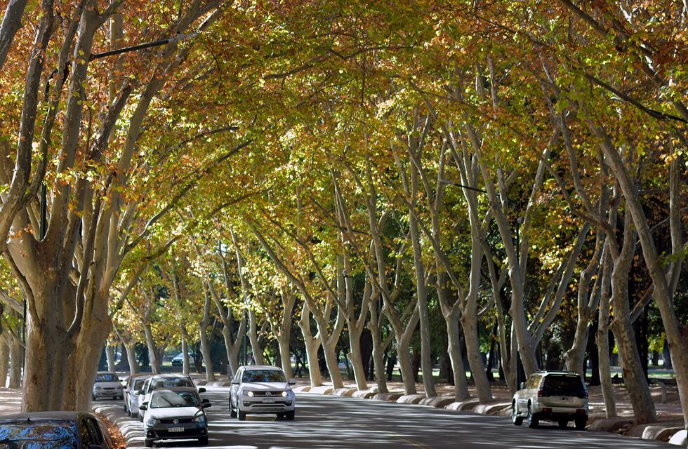 Se paró a orinar en pleno Parque San Martín de Mendoza, lo quisieron asaltar y le dispararon: está grave
