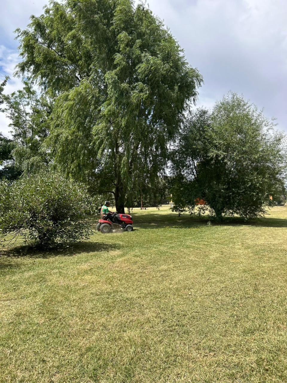 Chaves Municipio continúa con tareas de mantenimiento del césped y recuerda la responsabilidad de los frentistas