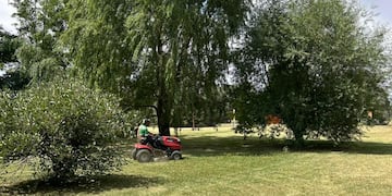 Chaves Municipio continúa con tareas de mantenimiento del césped y recuerda la responsabilidad de los frentistas