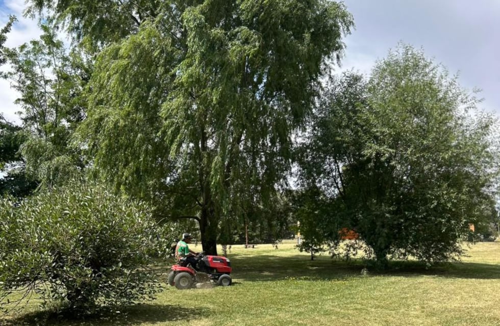 Chaves Municipio continúa con tareas de mantenimiento del césped y recuerda la responsabilidad de los frentistas