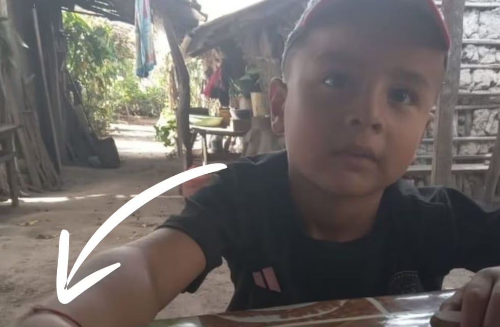 Caso Loan: Encontraron una pulsera en el naranjal que podría ser del nene