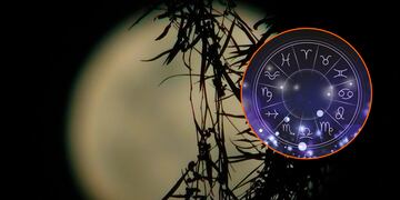 Cómo afectará a estos signos la Luna en Capricornio.