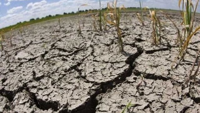 Sequía en la Argentina: qué puede pasar si llueve de forma abundante en poco tiempo.