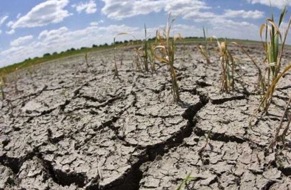 Preocupación por la sequía: qué puede pasar si llueve sobre tierra seca y los efectos sobre la cosecha