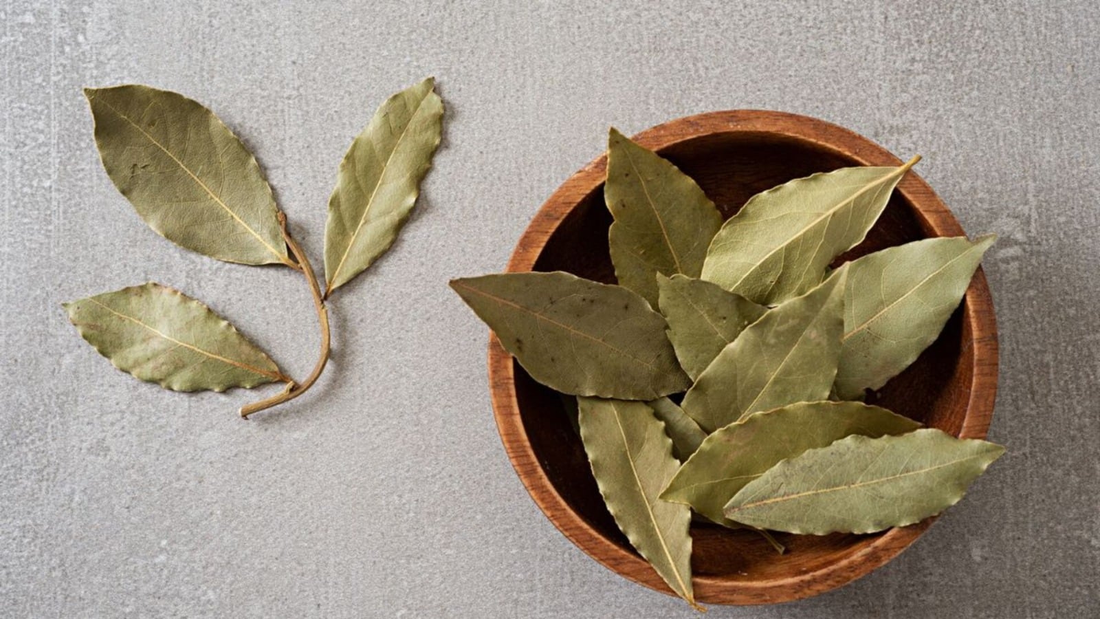 El secreto del laurel en agua: el ritual de Feng Shui que atrae dinero y prosperidad antes de Navidad