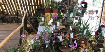 Con una gran cantidad de concurrentes, se lanzó la Fiesta Provincial de la Flor y Nacional de la Orquídea en Montecarlo.