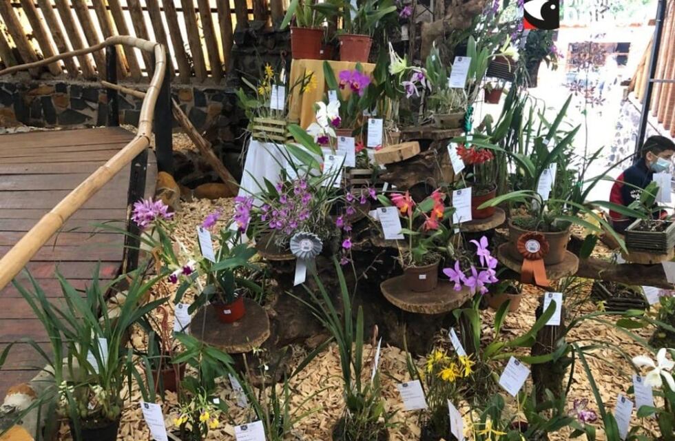 Con una gran cantidad de concurrentes, se lanzó la Fiesta Provincial de la Flor y Nacional de la Orquídea en Montecarlo