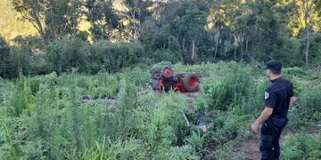 San Pedro: productor falleció aplastado por un tractor.