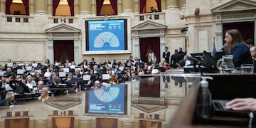 Un diputado de Río Negro y aliado del oficialismo prepara un proyecto para suspender las PASO.