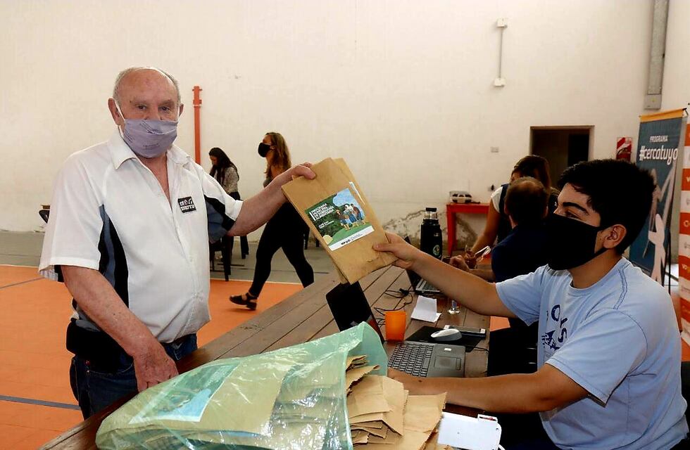 Cómo obtener en Carlos Paz un “kit de semillas” para una huerta en casa