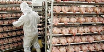 Frigorífico San Justo ER. Web.