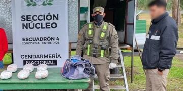 Gendarmería incautó marihuana en un ómnibus de larga distancia en Eldorado