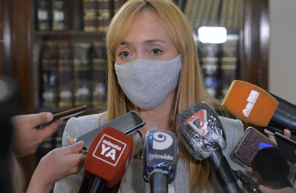 De qué se trata el proyecto que Fernández Sagasti le entregó a Suarez