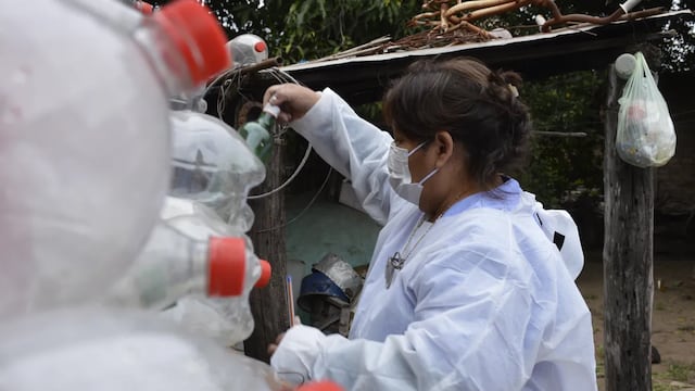 En Jujuy ya son seis los decesos a causa del dengue. Las estrategias para mitigar la propagación de la enfermedad se centran en combatir la reproducción del mosquito  Aedes aegypti.
