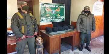 El perro antinarcóticos "Gary" de la Gendarmería Nacional permitió desbaratar un nuevo intento de narcotráfico en Jujuy.