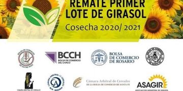 Remate de girasol 20/21