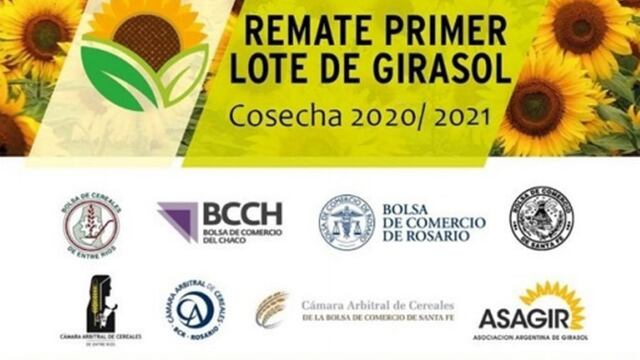 Remate de girasol 20/21