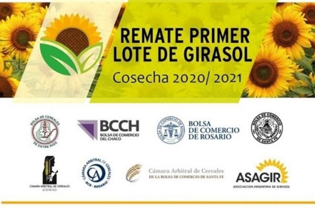 Remate de girasol 20/21