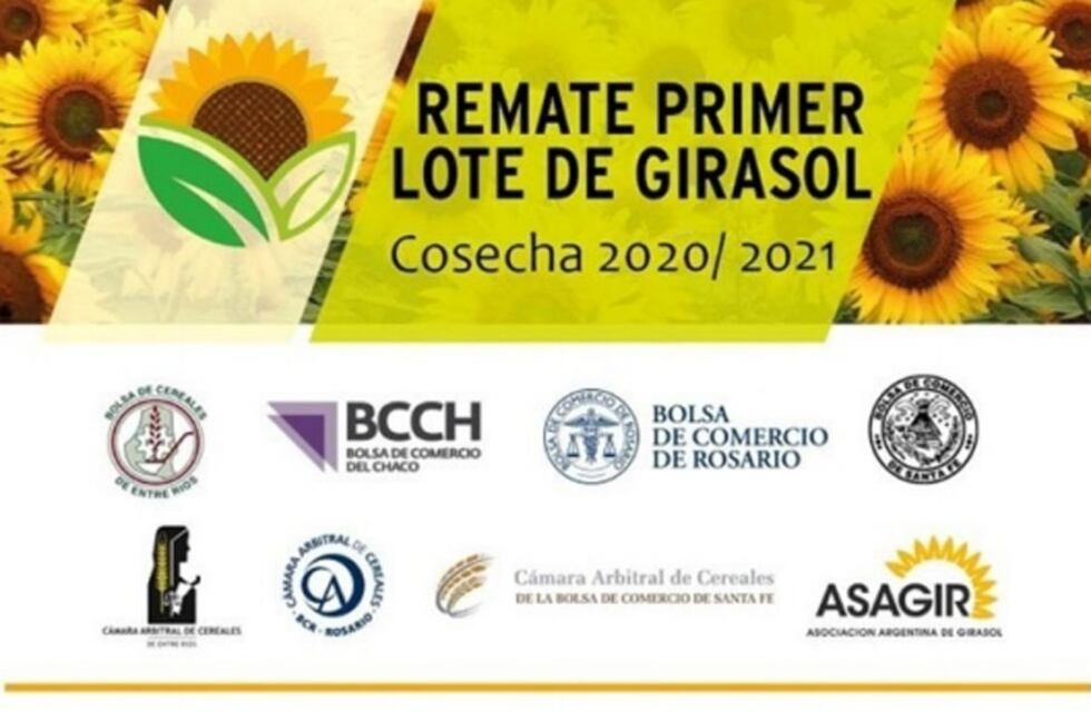 Subasta del primer lote de girasol de la campaña 20/21