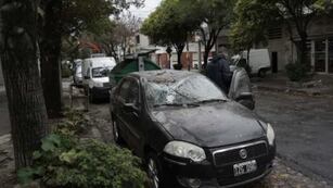 Caída de cientos de árboles, autos destruidos y desagües desbordados.