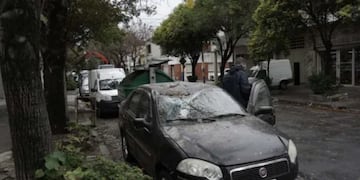 Caída de cientos de árboles, autos destruidos y desagües desbordados.