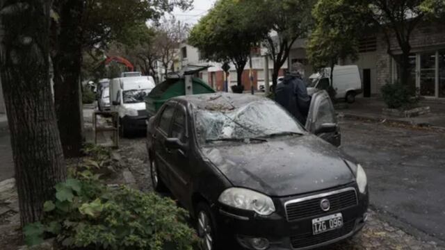 Caída de cientos de árboles, autos destruidos y desagües desbordados.
