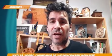 Contarán con nuevas cámaras trampa en el Parque Nacional Iguazú.