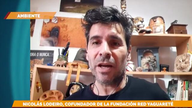 Contarán con nuevas cámaras trampa en el Parque Nacional Iguazú.