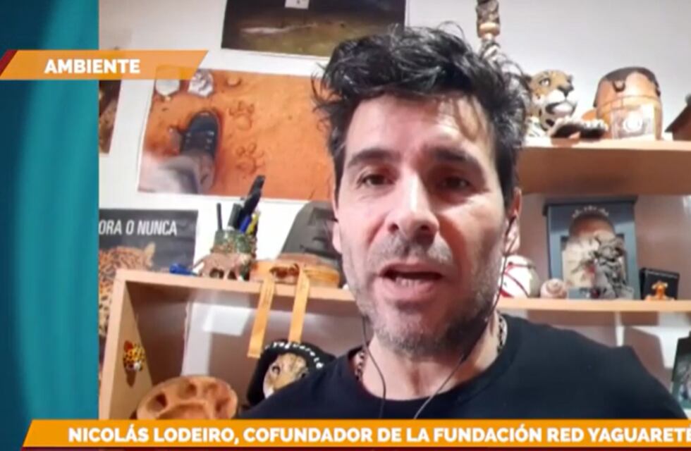 Contarán con nuevas cámaras trampa en el Parque Nacional Iguazú