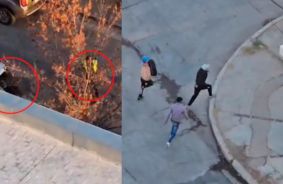 Con un naranjita como cómplice, roban ruedas de auxilio en una concurrida avenida de Córdoba