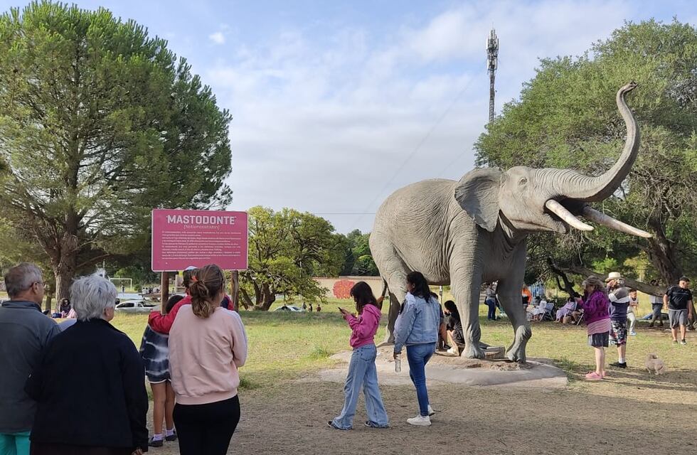 Móvil sanitario en Pehuen Co