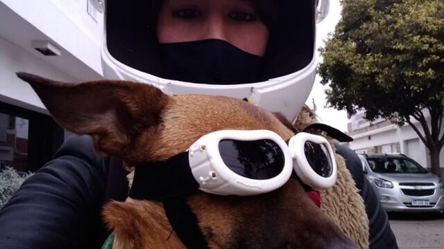 Ninita la "perrita motorizada" de Villa María.