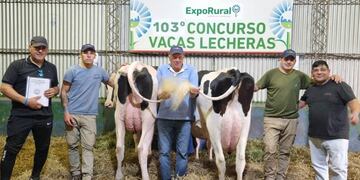 La Luisa ganó el concurso de vacas lecheras en la ExpoRural de Rafaela