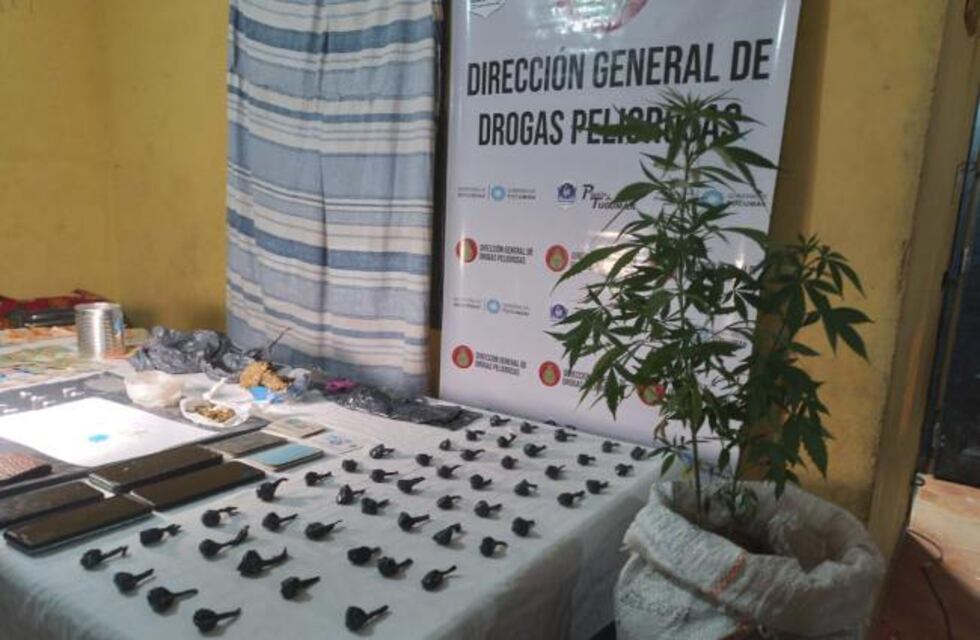 Cuatro personas detenidas por tenencia de drogas en allanamientos