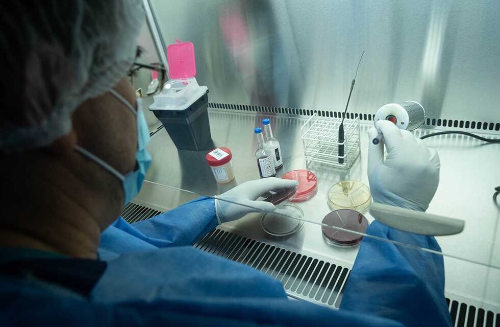 Coronavirus en Santa Fe: detectaron un caso con la variante Epsilon