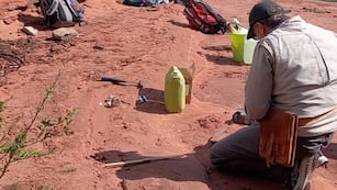 Descubren un resto fósil óseo de gran relevancia.