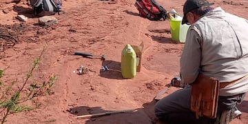 Descubren un resto fósil óseo de gran relevancia.