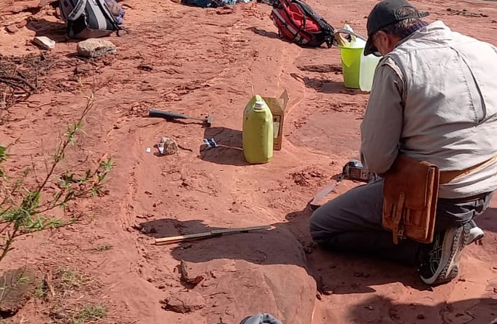 Encontraron un resto fósil óseo, que sería el más antiguo en Córdoba: cómo es