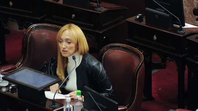 Anabel Fernandez Sagasti criticó la gestión de Alberto. Foto Federico Lopez Claro