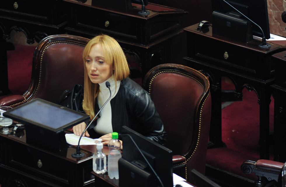 Anabel responsabilizó al Gobierno Nacional por los resultados del domingo