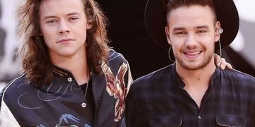Harry Styles y Liam Payne