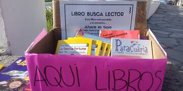 Desde hace cuatro años, la ONG Casa de 20 realiza una “Siembra de Libros”