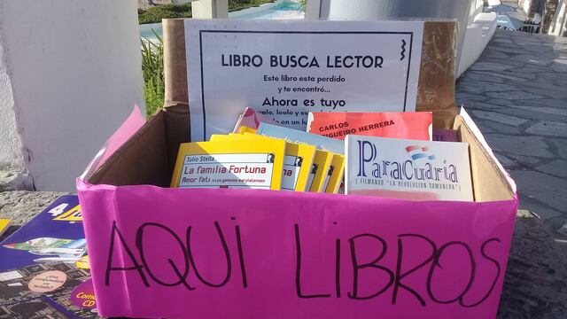 Desde hace cuatro años, la ONG Casa de 20 realiza una “Siembra de Libros”
