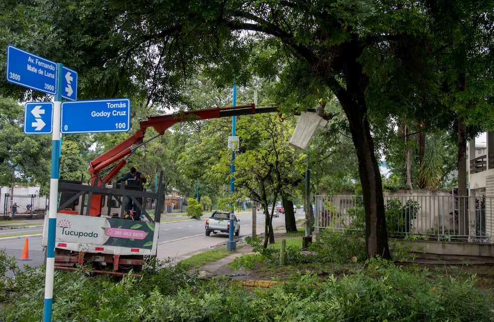 Poda preventiva: operativo especial en Mate de Luna