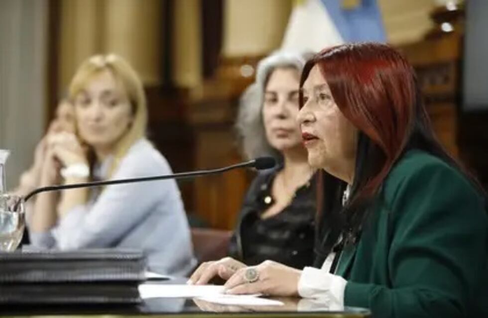 El Senado no sesionará antes de las PASO: a qué estrategia acudiría el oficialismo para mantener a una jueza clave