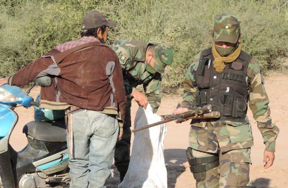 38 quirquinchos fueron rescatados y devueltos a su medioambiente