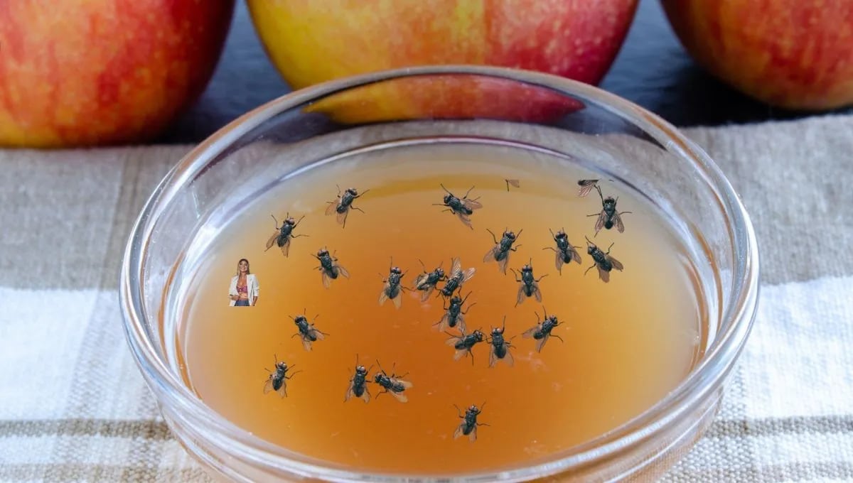 El motivo por el que se coloca un vaso de vinagre de manzana en la ventana