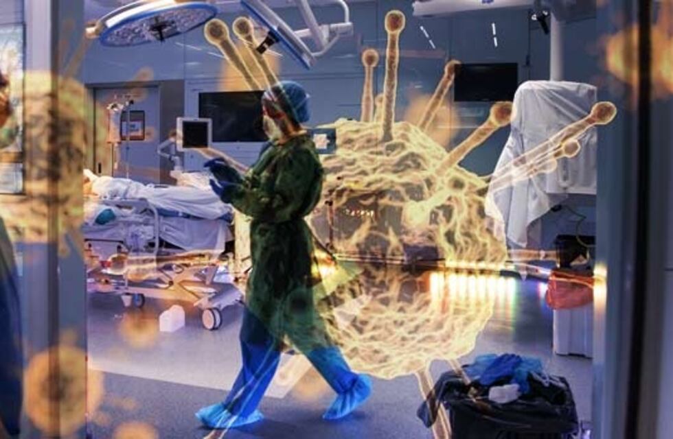 Coronavirus San Luis: este lunes se registraron 6 muertos y 369 casos positivos