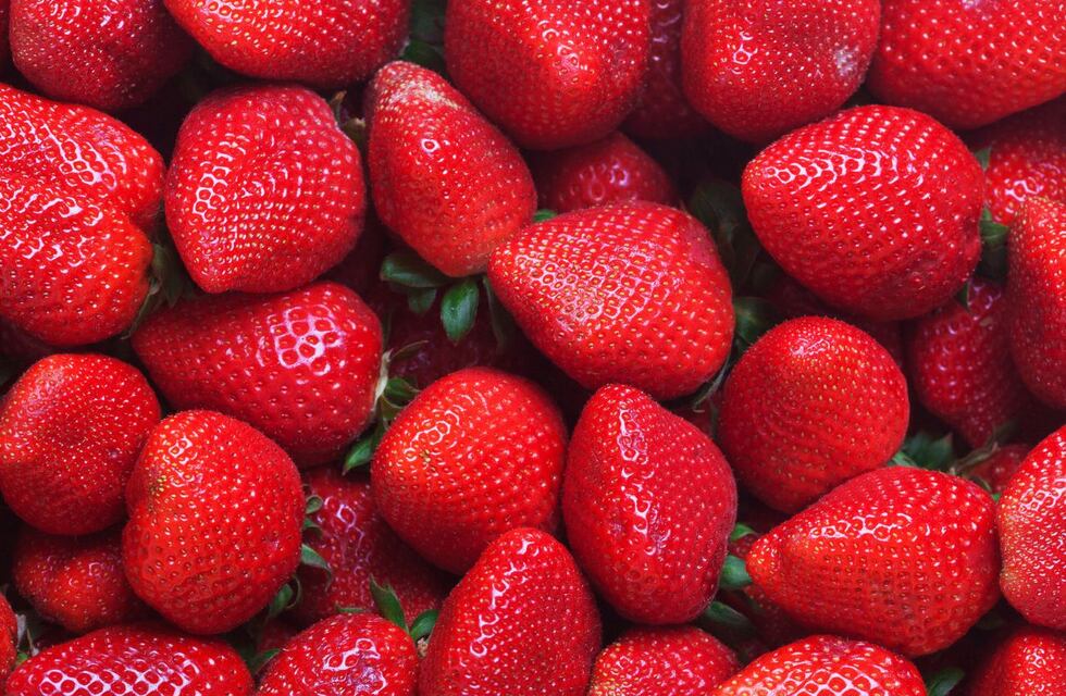 Cómo conservar por más tiempo las frutillas, según los expertos