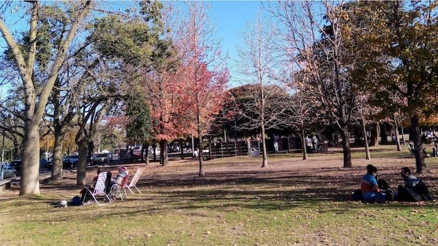 El fin de semana termina con todo a favor para relajarse al aire libre.
